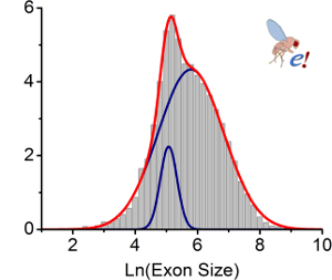 Exon Distribution Statistics DM