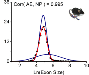 Correlation with Alternative Splicing MM