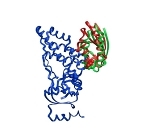 Structure Elucidation